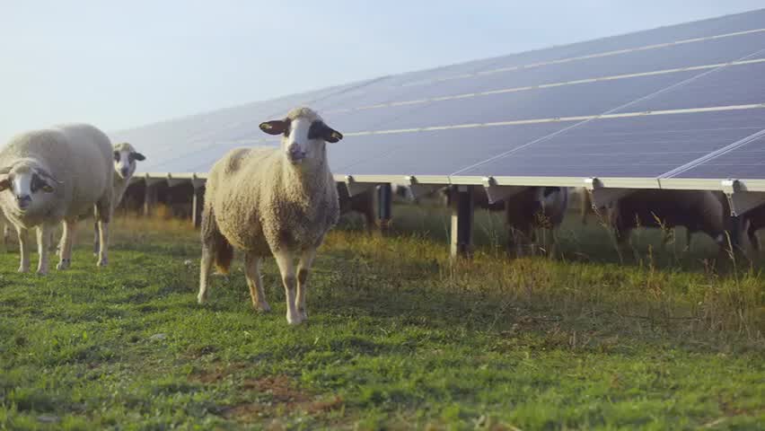découvrez comment maximiser vos bénéfices grâce à l'installation de panneaux solaires. apprenez les avantages financiers, écologiques et les solutions innovantes pour rentabiliser votre investissement dans l'énergie solaire.