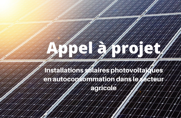 découvrez nos projets photovoltaïques innovants, conçus pour maximiser l'utilisation de l'énergie solaire et réduire votre empreinte carbone. explorez nos solutions durables et personnalisées adaptées à vos besoins énergétiques.