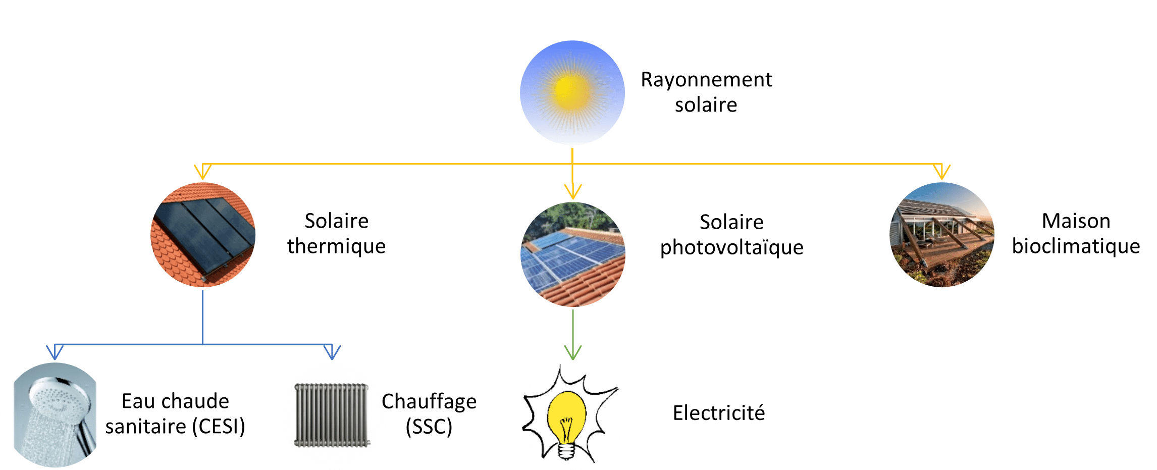 découvrez le potentiel de la puissance solaire pour transformer votre energie. explorez les avantages, les technologies et les solutions durables qui propulsent un avenir énergétique plus propre et responsable.