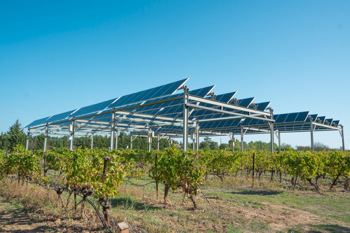 découvrez les avantages des panneaux photovoltaïques (pv) pour les sols agricoles : une solution durable pour produire de l'énergie renouvelable tout en préservant la fertilité des terres. optimisez vos surfaces agricoles et participez à la transition énergétique.