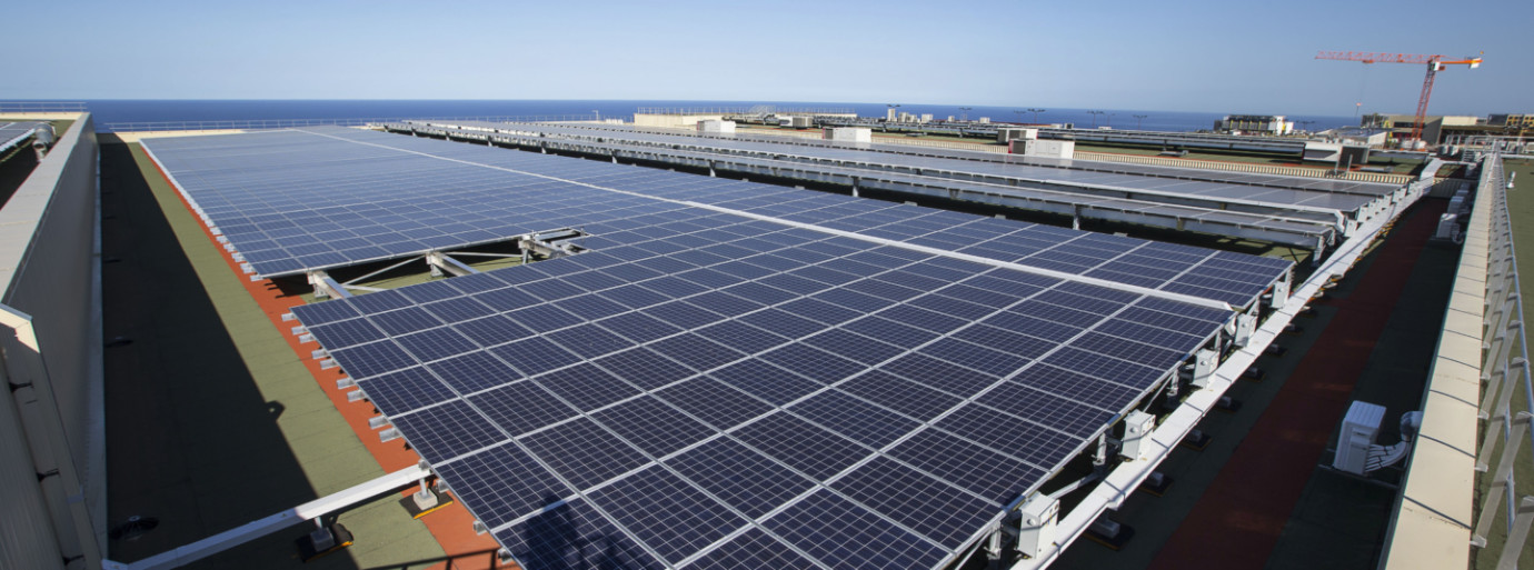 découvrez l'importance du recyclage des panneaux solaires pour une énergie durable. apprenez comment la valorisation de ces équipements contribue à la protection de l'environnement tout en favorisant une économie circulaire. explorez les solutions innovantes et les initiatives en matière de recyclage pour un avenir plus vert.