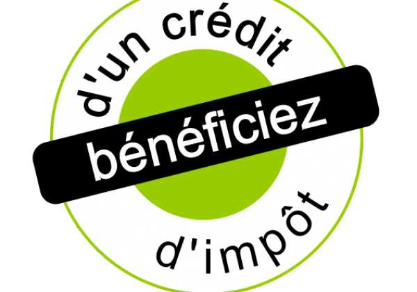 découvrez comment bénéficier d'une réduction d'impôts en investissant dans un poêle à bois. profitez des avantages fiscaux tout en chauffant votre maison de manière écologique et économique.