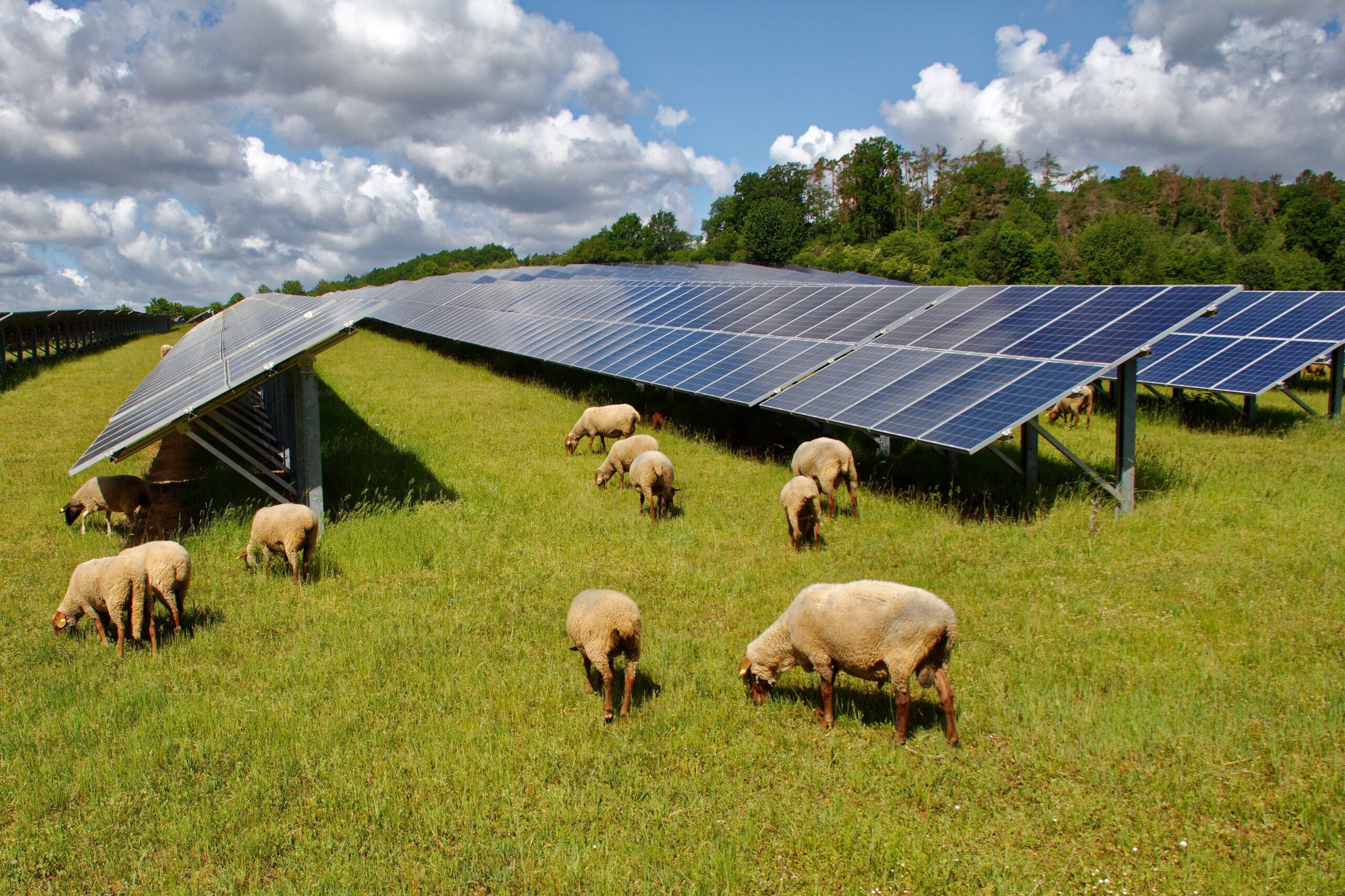 découvrez comment maximiser le rendement de vos hectares grâce à l'installation de panneaux solaires. optimisez votre production d'énergie renouvelable et augmentez vos revenus tout en préservant l'environnement.