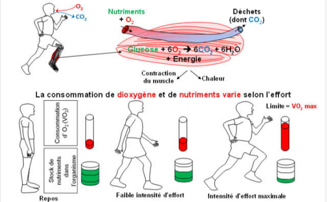 découvrez comment améliorer votre rendement avec des conseils pratiques et des stratégies efficaces. optimisez vos performances personnelles et professionnelles pour atteindre vos objectifs plus rapidement.