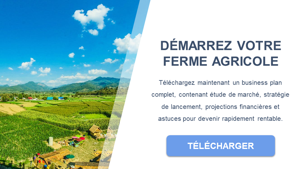découvrez comment optimiser la rentabilité de votre exploitation agricole grâce à des stratégies efficaces et des conseils pratiques. maximisez vos profits tout en préservant l'environnement et en répondant aux défis de l'agriculture moderne.