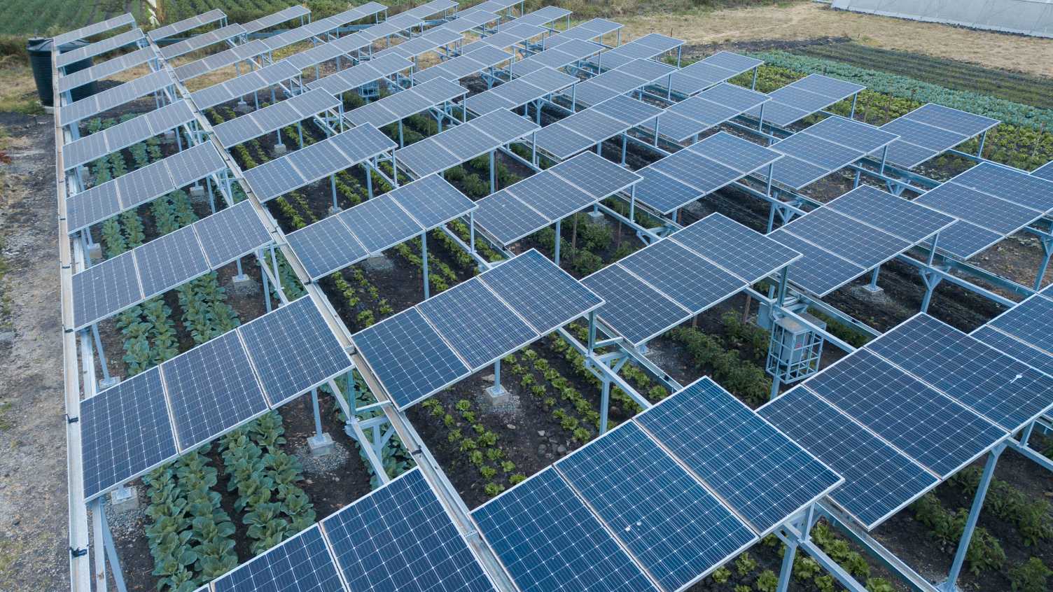 découvrez comment la rentabilité agrivoltaïque allie agriculture et énergie solaire pour maximiser les profits tout en préservant l'environnement. optimisez vos terres agricoles grâce à cette solution innovante et durable.