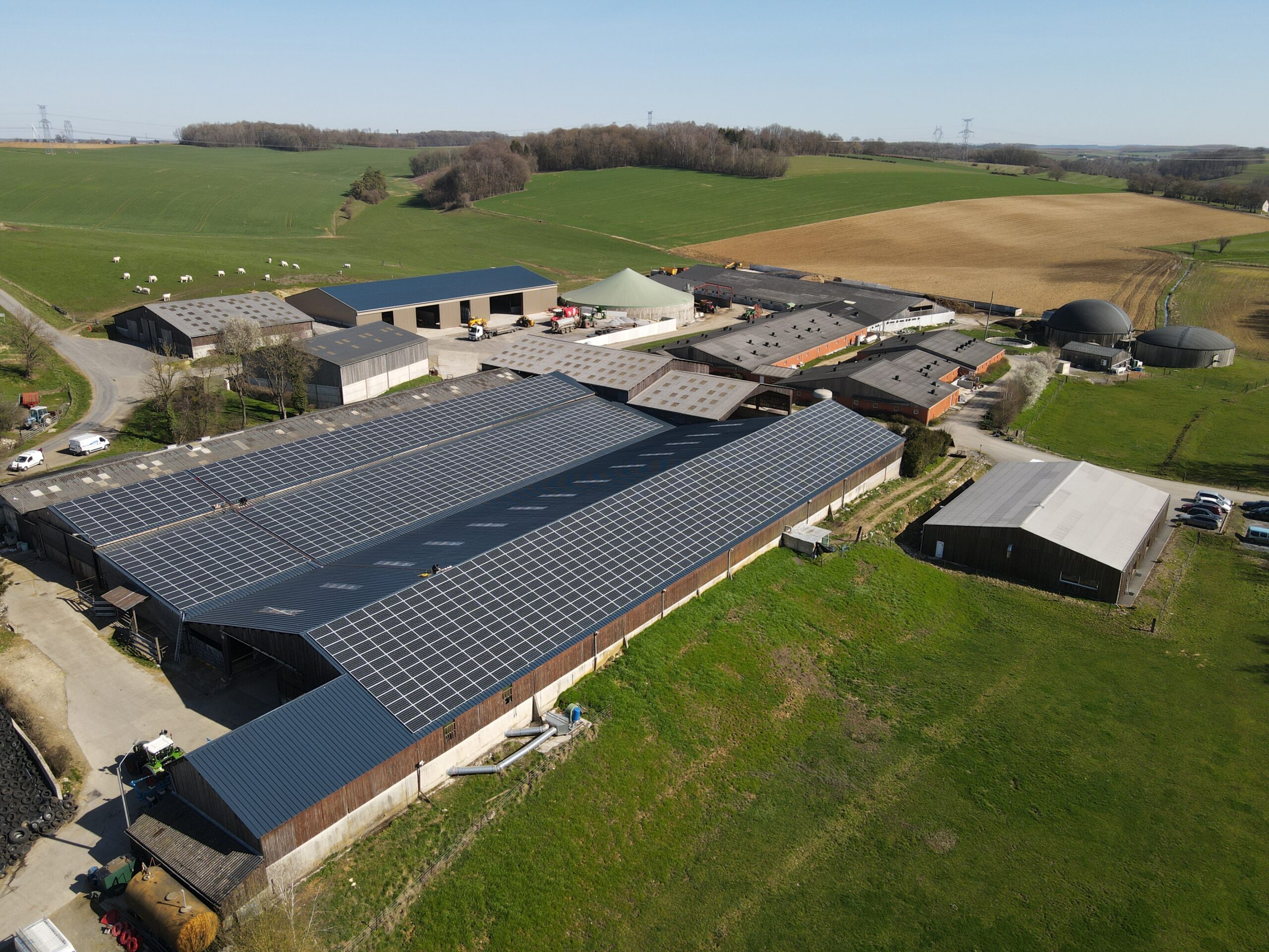 découvrez comment maximiser la rentabilité de vos installations photovoltaïques en milieu agricole. apprenez les meilleures pratiques, les technologies innovantes et les avantages fiscaux pour transformer votre exploitation en un modèle durable et rentable.