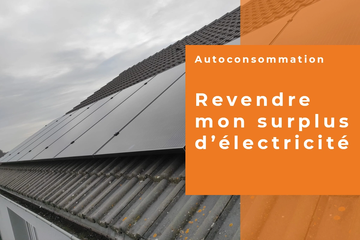 découverte des opportunités de la revente de surplus : maximisez vos profits en vendant des stocks excédentaires. apprenez les meilleures pratiques pour gérer et optimiser votre inventaire tout en réduisant le gaspillage.