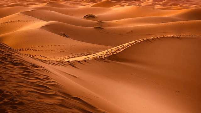 découvrez l'univers fascinant du sable, ses différentes variétés, ses utilisations dans la construction, l'art et la nature. apprenez comment ce matériau naturel essentiel façonne notre environnement et enrichit notre quotidien.