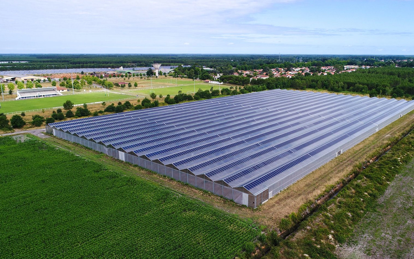 découvrez les avantages d'une serre solaire : optimisez la culture de vos plantes tout en profitant d'une gestion écologique de la chaleur et de la lumière. transformez votre jardin en un espace productif toute l'année grâce à des techniques de culture durables et innovantes.