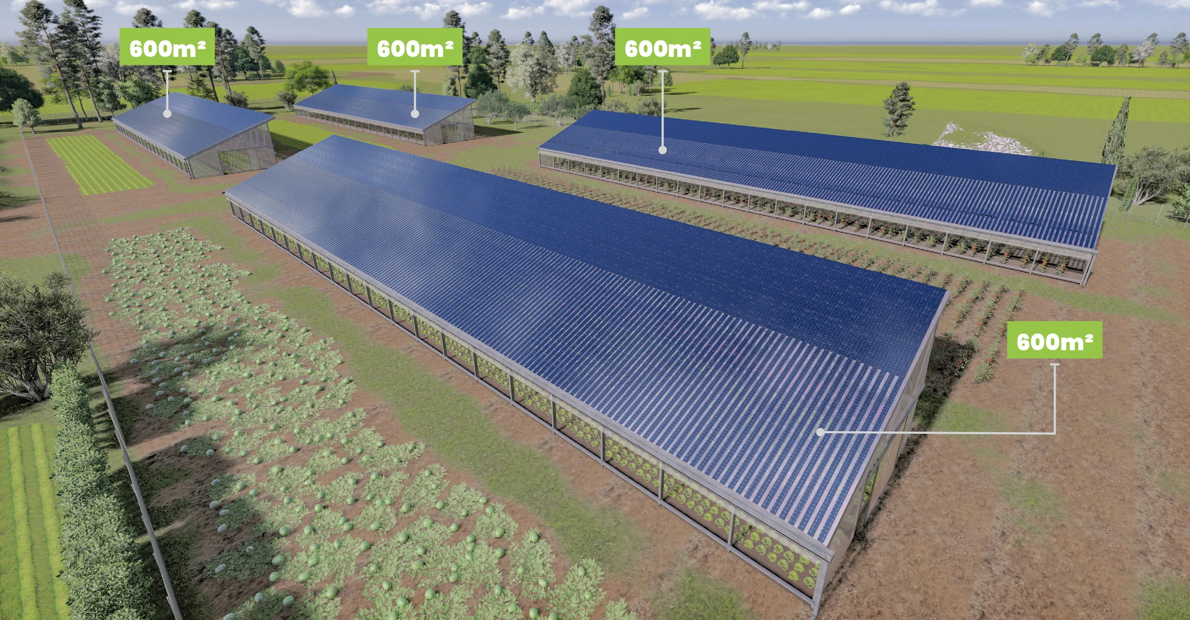 découvrez les avantages d'une serre solaire : un espace de culture optimisé, respectueux de l'environnement, permettant de profiter de la chaleur du soleil pour favoriser la croissance de vos plantes tout en réduisant votre consommation d'énergie. idéal pour les passionnés de jardinage et l'agriculture durable.