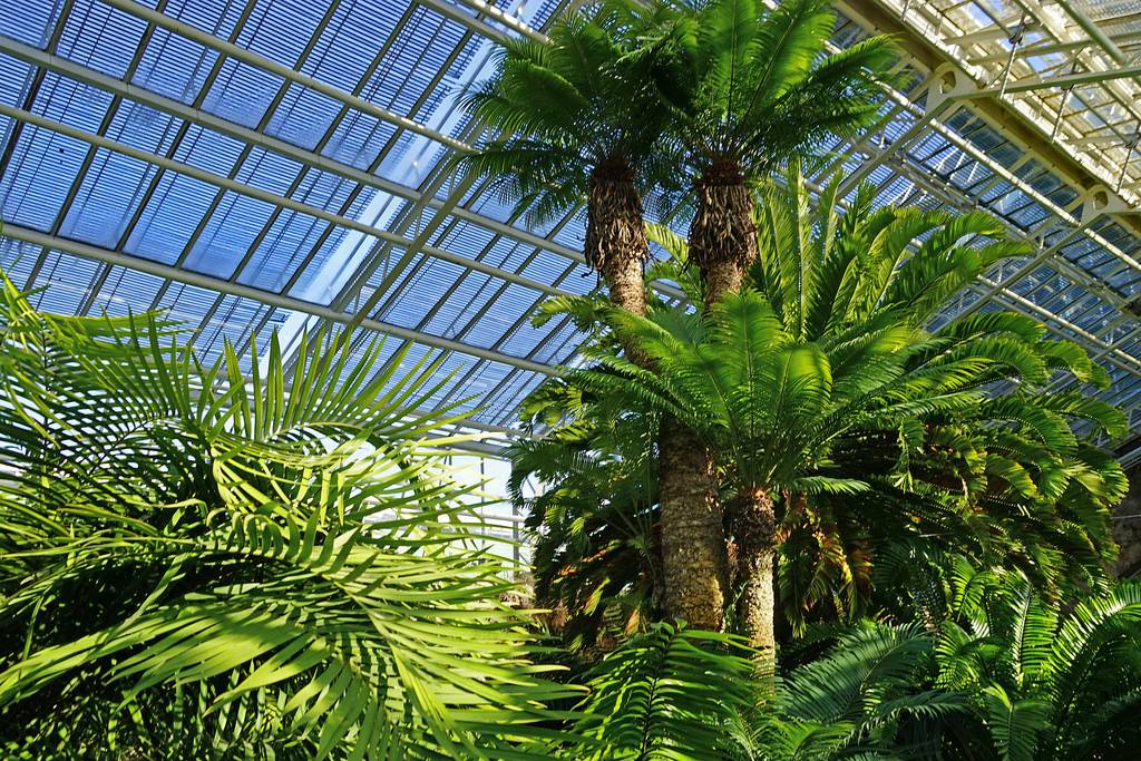 découvrez les avantages d'une serre solaire pour cultiver vos plantes tout au long de l'année. optimisez la lumière naturelle et protégez vos cultures des intempéries tout en réduisant votre empreinte carbone. transformez votre jardin en un véritable écosystème durable !