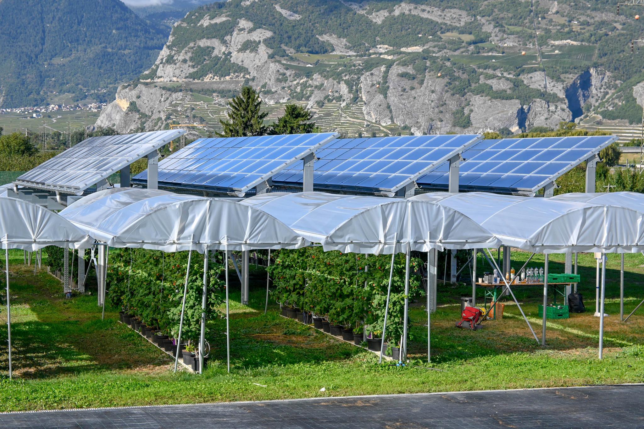 découvrez les avantages d'une serre solaire : un espace de culture optimisé qui utilise la lumière naturelle pour favoriser la croissance de vos plantes, tout en garantissant un contrôle optimal de la température. parfait pour les jardiniers passionnés souhaitant prolonger leur saison de culture!