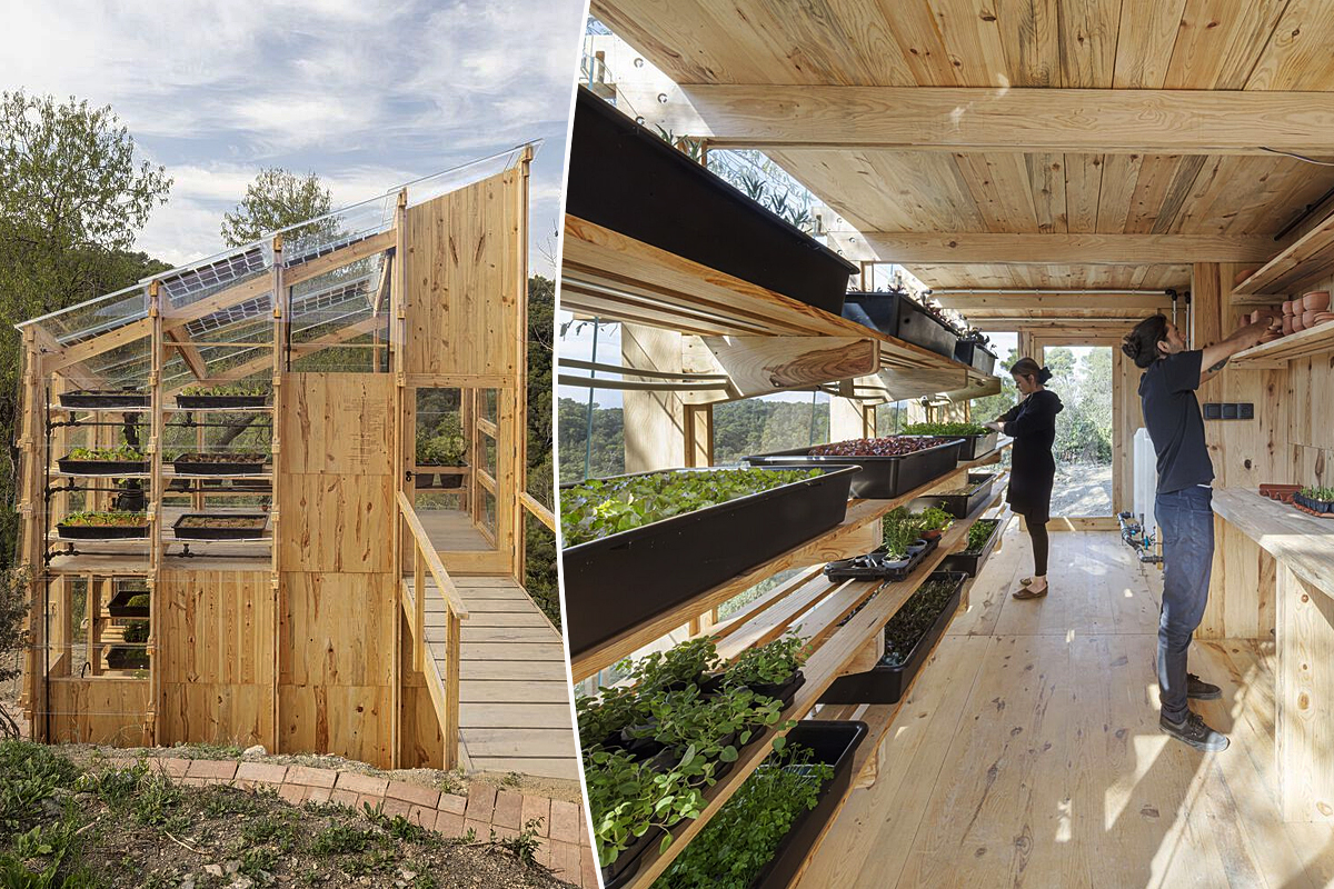 découvrez les avantages d'une serre solaire pour cultiver vos plantes toute l'année. profitez d'une utilisation optimale de la lumière naturelle et d'une ambiance idéale pour le jardinage, même en hiver. transformez votre jardin en un véritable écosystème florissant grâce à une serre écologique et économique.