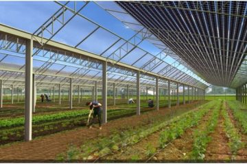 découvrez les avantages de la serre solaire, une solution innovante pour cultiver vos plantes toute l'année. optimisez votre espace jardin avec cette structure écologique, idéale pour profiter de la chaleur naturelle du soleil et protéger vos cultures des intempéries.