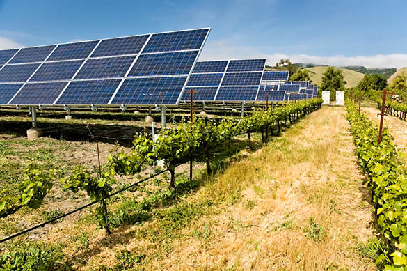découvrez comment le solaire agricole transforme les exploitations avec des solutions énergétiques durables. optimisez votre production tout en réduisant votre empreinte carbone grâce à l'énergie solaire.
