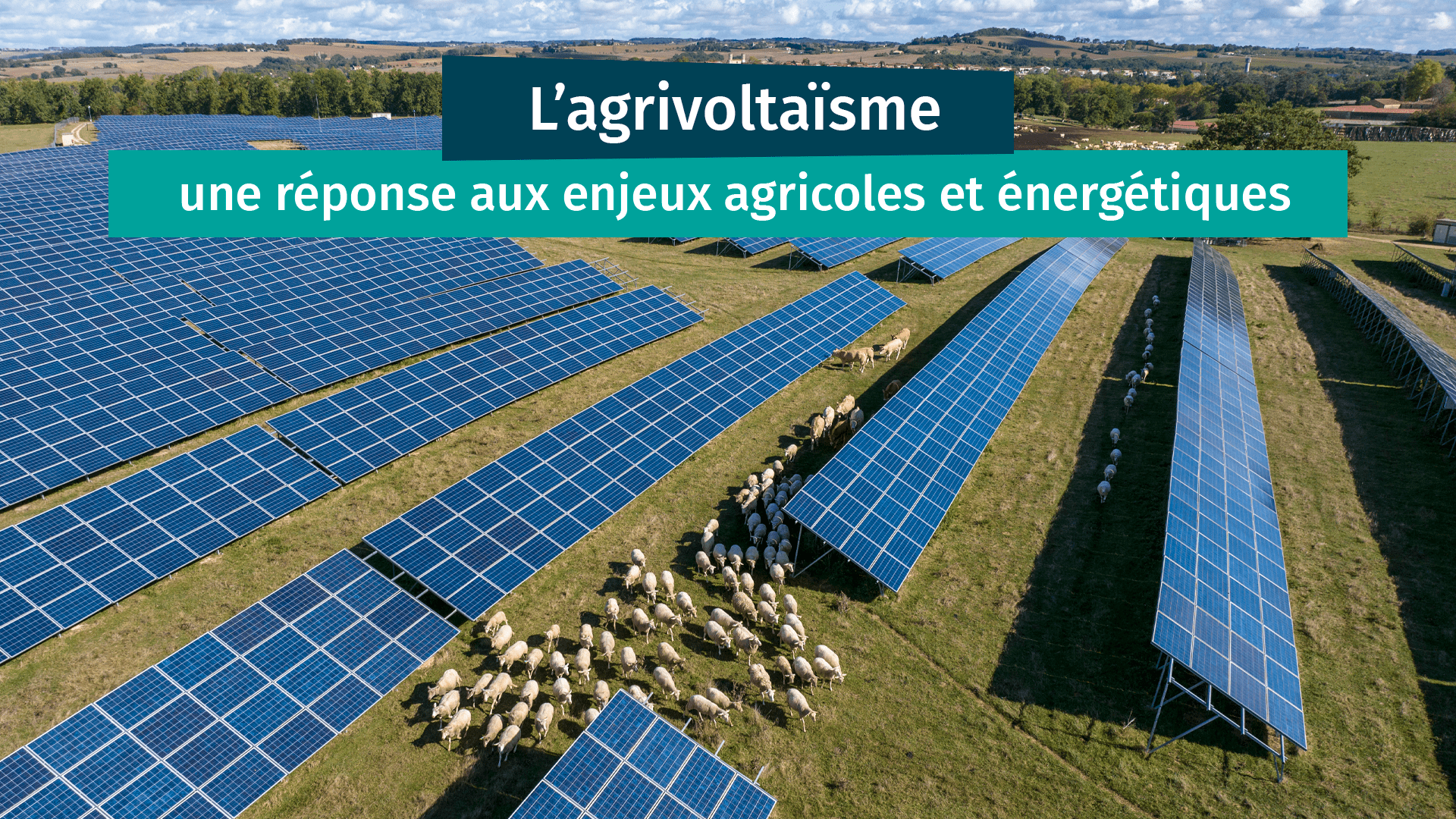 découvrez comment le solaire agricole transforme le secteur de l'agriculture en offrant des solutions énergétiques durables et rentables. optimisez votre exploitation avec des panneaux solaires adaptés aux besoins des agriculteurs et participez à la transition énergétique tout en réduisant vos coûts.