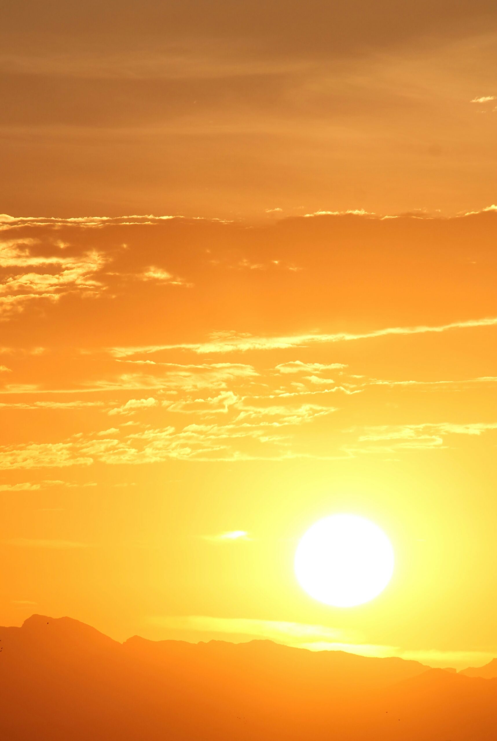 découvrez la magie du soleil : symbole de chaleur, de vie et d'énergie. explorez son impact sur notre quotidien, sa beauté spectaculaire lors des couchers de soleil et son rôle essentiel dans l'écosystème terrestre.