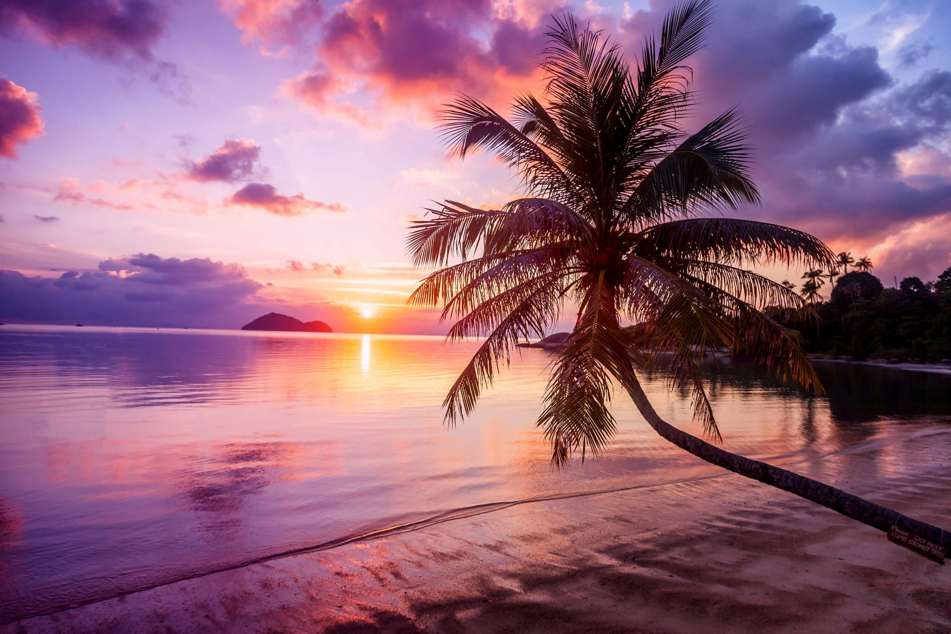 découvrez la beauté et la chaleur du soleil, star de notre système solaire. apprenez-en davantage sur son rôle essentiel dans la vie sur terre, ses effets sur notre climat et comment apprécier chaque rayon de lumière.