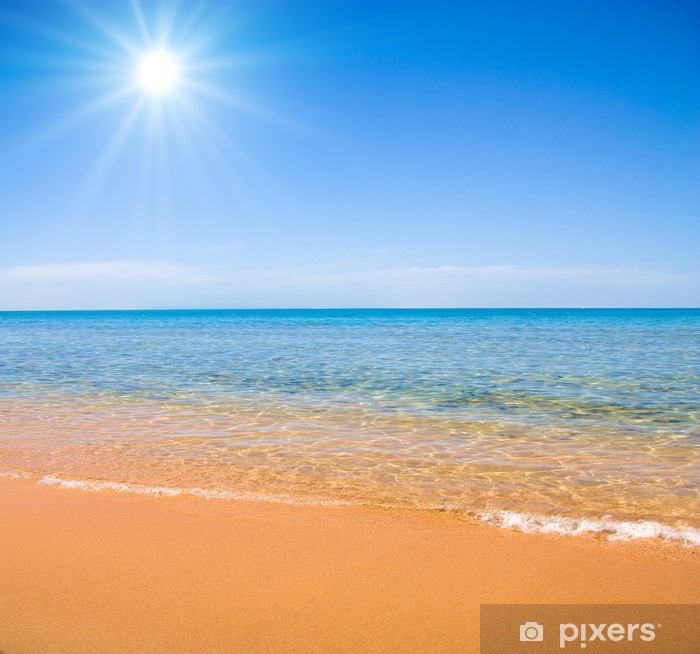 plongez dans la beauté de l'été avec le rayonnement du soleil. découvrez des conseils pour profiter pleinement des journées ensoleillées, des activités estivales à ne pas manquer et des astuces pour protéger votre peau tout en savourant la chaleur estivale.