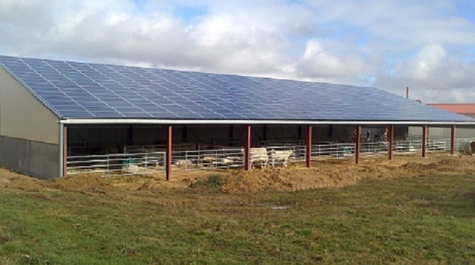découvrez notre guide complet sur la stabulation pv, une méthode innovante pour améliorer le bien-être des animaux d'élevage. apprenez comment optimiser vos installations et favoriser un environnement sain pour vos bêtes.