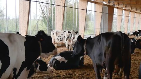 découvrez les avantages de la stabulation photovoltaïque (pv), une solution innovante alliant agriculture et production d'énergie solaire. optimisez votre espace tout en bénéficiant d'une source d'énergie renouvelable durable. informez-vous sur les techniques, les bénéfices économiques et environnementaux de cette pratique moderne.