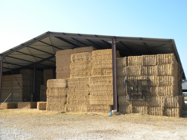 découvrez nos solutions de stockage adaptées aux bâtiments agricoles : optimisez l'espace, protégez vos récoltes et améliorez l'efficacité de votre exploitation. nos structures garantissent sécurité et durabilité pour tous vos besoins agricoles.