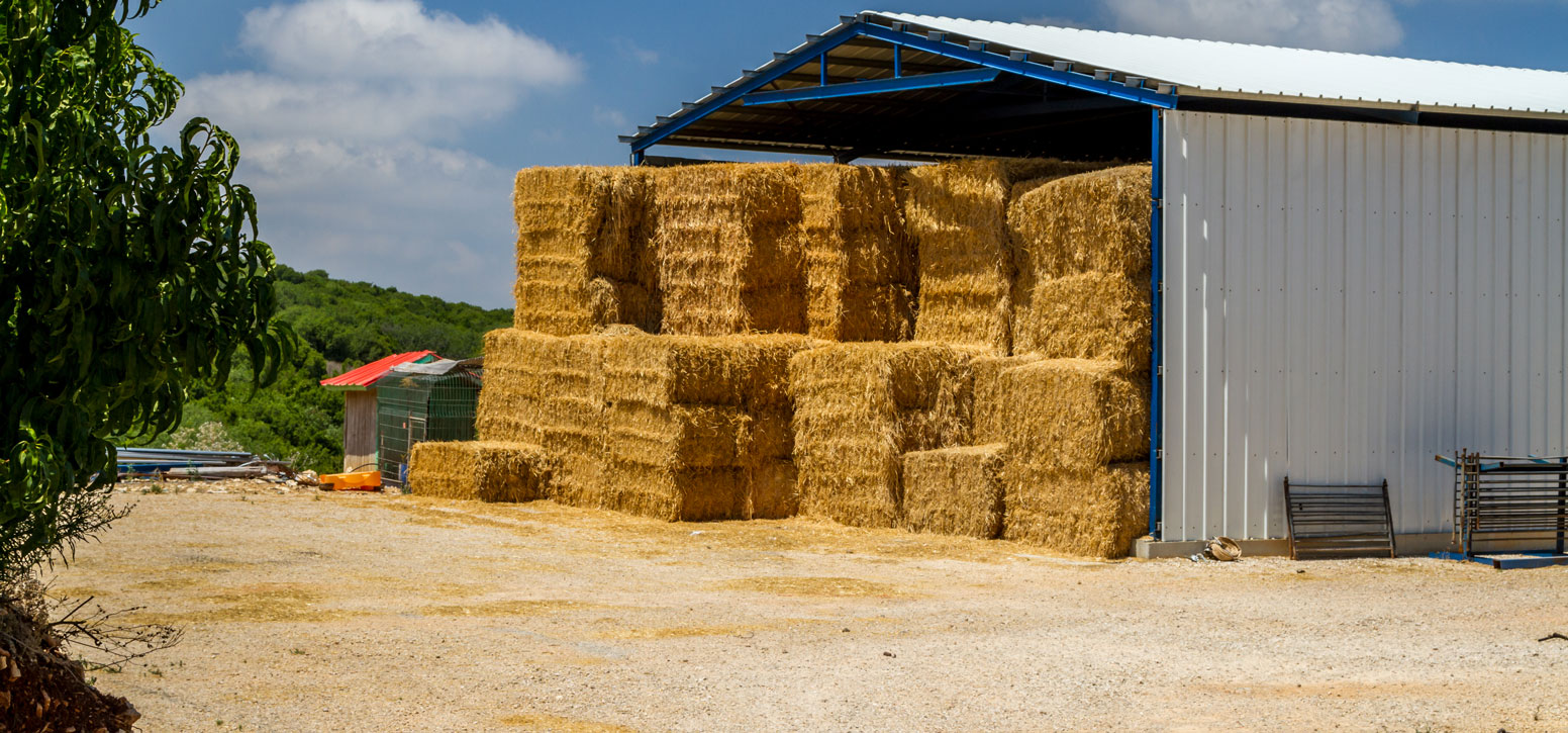 découvrez des solutions de stockage adaptées aux bâtiments agricoles, optimisant l'espace et préservant vos récoltes. informez-vous sur les différents types de structures et équipements disponibles pour un stockage efficace et sécurisé.