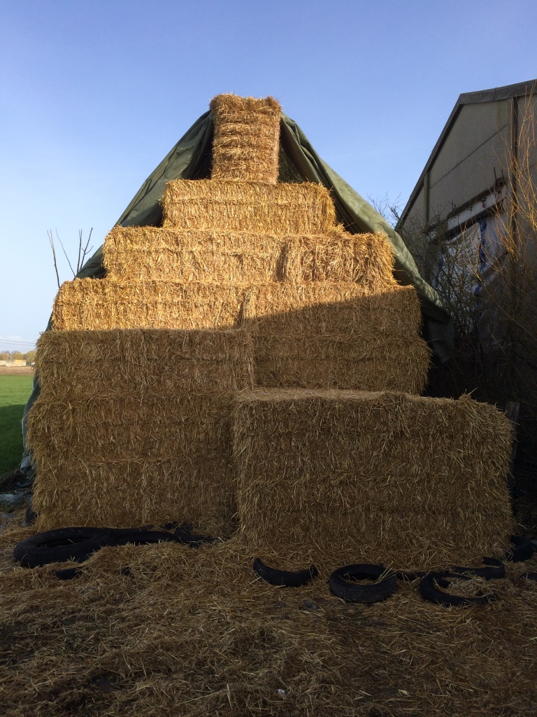 découvrez nos solutions innovantes pour le stockage de paille, garantissant une conservation optimale et préservant la qualité de votre récolte. idéal pour les agriculteurs et éleveurs, notre système de stockage vous permet de gérer efficacement vos ressources tout en améliorant votre productivité.