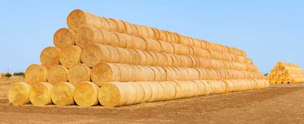 découvrez nos solutions de stockage pour la paille, idéales pour préserver la qualité et la fraîcheur de votre récolte. optimisez l'espace et garantissez la durabilité de votre stock de paille avec nos méthodes et conseils pratiques.