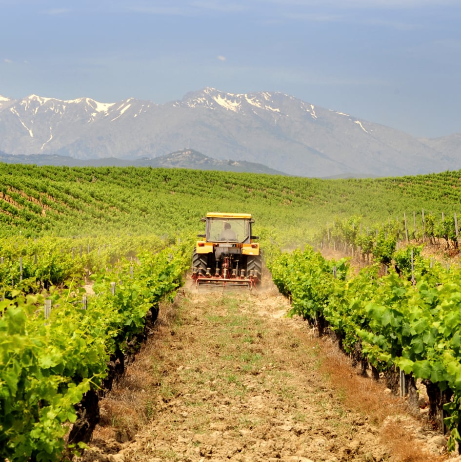 découvrez les opportunités de subvention agricole offertes en 2019 pour soutenir vos projets et améliorer vos pratiques agricoles. profitez des aides financières pour maximiser votre production et pérenniser votre exploitation.