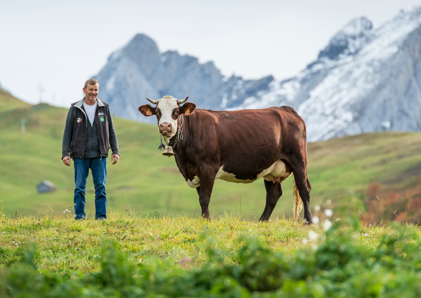découvrez les options de subventions agricoles en rhône-alpes pour soutenir et développer votre exploitation. profitez d'un programme complet d'aides financières destiné aux agriculteurs de la région, pour booster votre activité et promouvoir une agriculture durable.