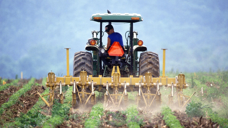 découvrez comment bénéficier des subventions agricoles en france pour soutenir votre activité. informez-vous sur les différentes aides financières disponibles, les conditions d'éligibilité et les démarches à suivre pour optimiser vos exploitations agricoles.