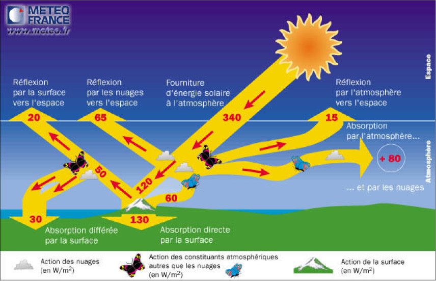 découvrez l'importance de la mesure de la surface terrestre en m². comprenez comment cette unité est utilisée dans l'aménagement du territoire, l'agriculture et l'urbanisme. un aperçu essentiel pour tous ceux qui s'intéressent à l'environnement et à l'espace que nous habitons.