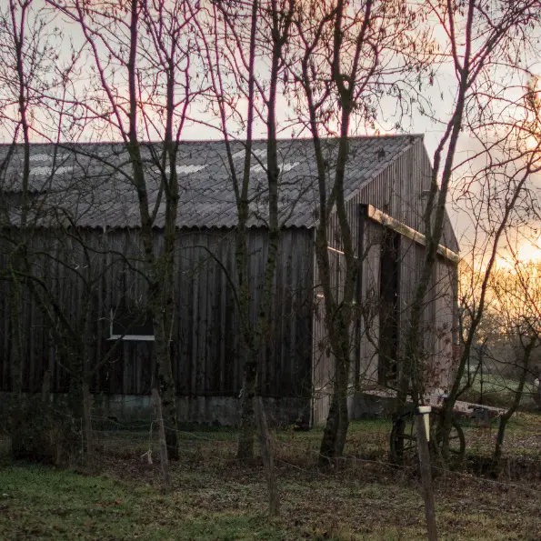 découvrez notre vaste sélection de terrains agricoles à vendre, idéaux pour vos projets d'exploitation. profitez d'emplacements stratégiques, de sols fertiles et d'opportunités d'investissement dans le secteur agricole.