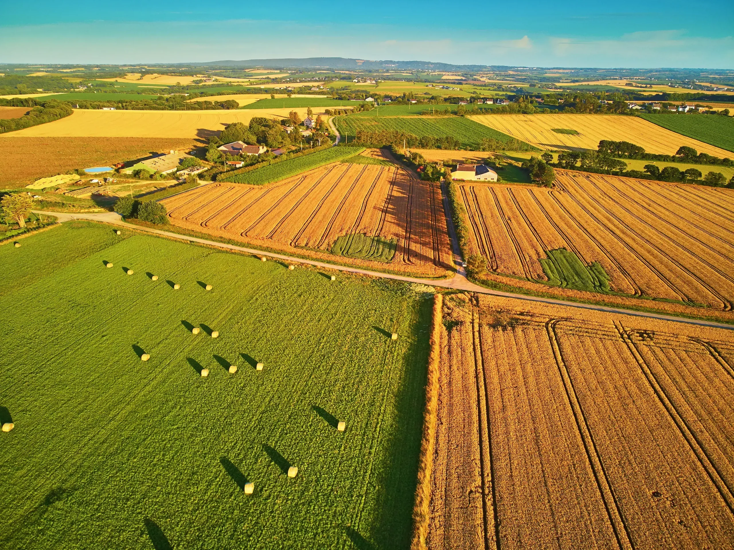 découvrez notre sélection de terrains agricoles disponibles à la vente. idéaux pour vos projets d'exploitation, ces espaces offrent des opportunités uniques pour les agriculteurs et les investisseurs. profitez d'un emplacement stratégique et d'un potentiel de rendement élevé dans le secteur agricole.