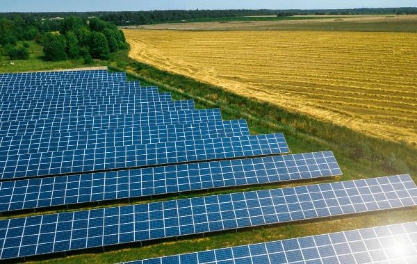 découvrez les avantages d'installer un terrain de panneaux solaires, une solution énergétique durable qui permet de réduire vos factures d'électricité et de contribuer à la protection de l'environnement. informez-vous sur les étapes d'installation, les subventions disponibles et les impacts écologiques positifs.