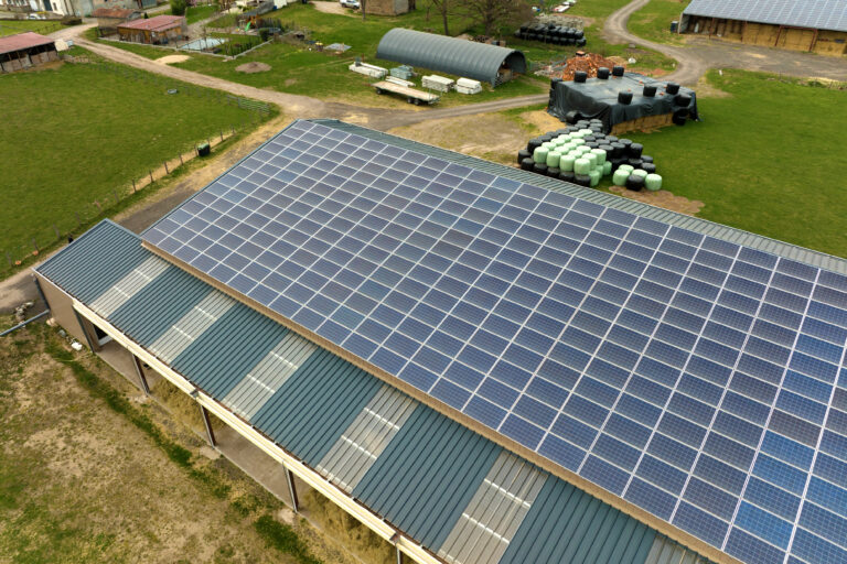 découvrez l'univers des terres rares solaires, essentielles pour la transition énergétique. explorez leur rôle dans la fabrication de panneaux solaires et leurs impacts sur le développement durable.