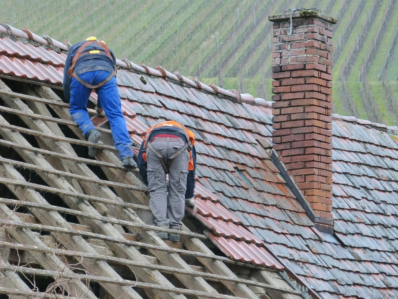 découvrez tout sur la toiture : conseils d'experts, types de matériaux, techniques d'installation et entretien, pour protéger votre maison et optimiser son esthétique. retrouvez des informations clés pour faire le bon choix et assurer la durabilité de votre toit.