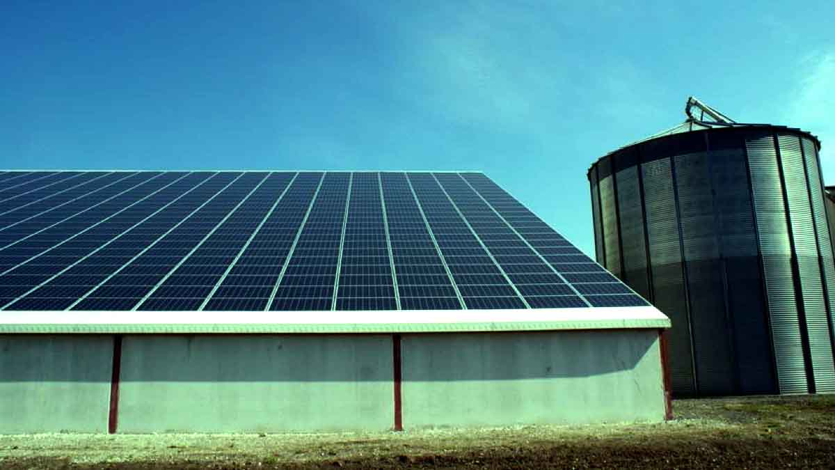 découvrez nos solutions de toiture agricole adaptées à vos besoins. garantissant solidité, isolation et respect de l'environnement, nos toitures optimisent les performances de vos bâtiments agricoles. contactez-nous pour un devis personnalisé.