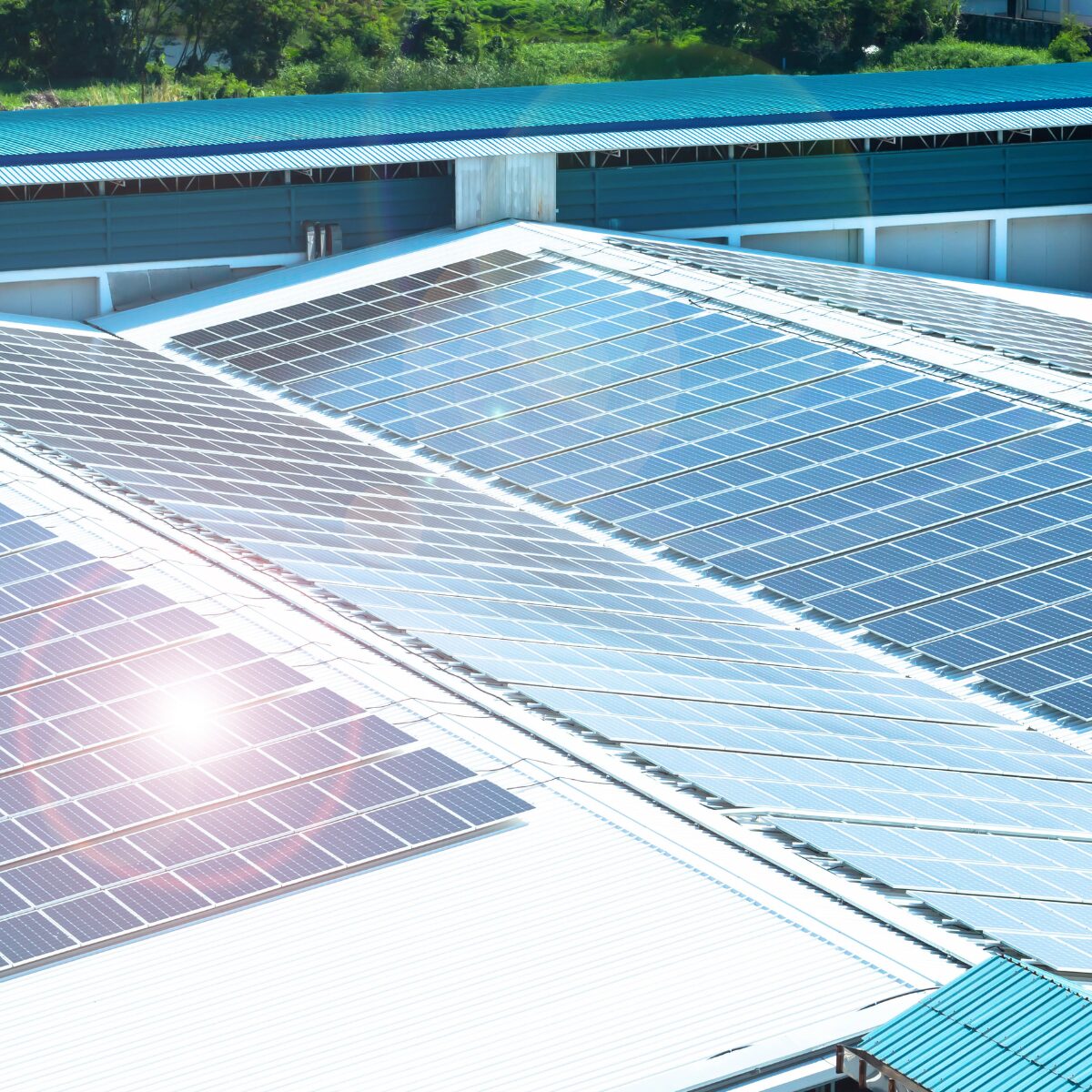 découvrez les avantages des toitures solaires, une solution moderne et écologique pour produire votre propre énergie. apprenez comment installer un système de panneaux solaires sur votre toit et réduisez votre empreinte carbone tout en réalisant des économies sur vos factures d'électricité.
