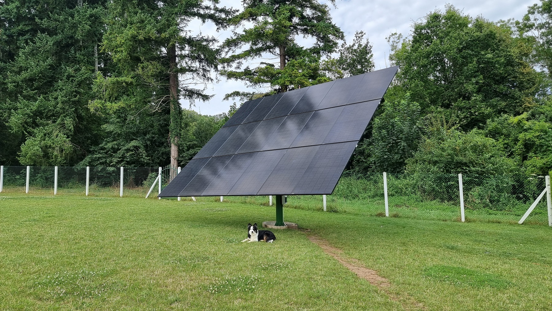 découvrez le tracker solaire, une technologie révolutionnaire qui optimise la production d'énergie solaire en orientant les panneaux en fonction du mouvement du soleil. améliorez votre efficacité énergétique tout en contribuant à une planète plus verte.