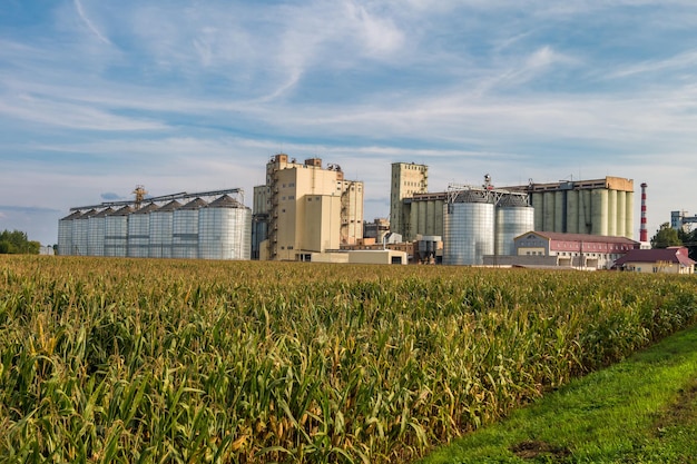 découvrez comment la transformation agricole révolutionne le secteur en alliant innovation, durabilité et pratiques respectueuses de l'environnement. explorez les tendances actuelles, les technologies émergentes et les défis à relever pour faire face aux enjeux alimentaires mondiaux.