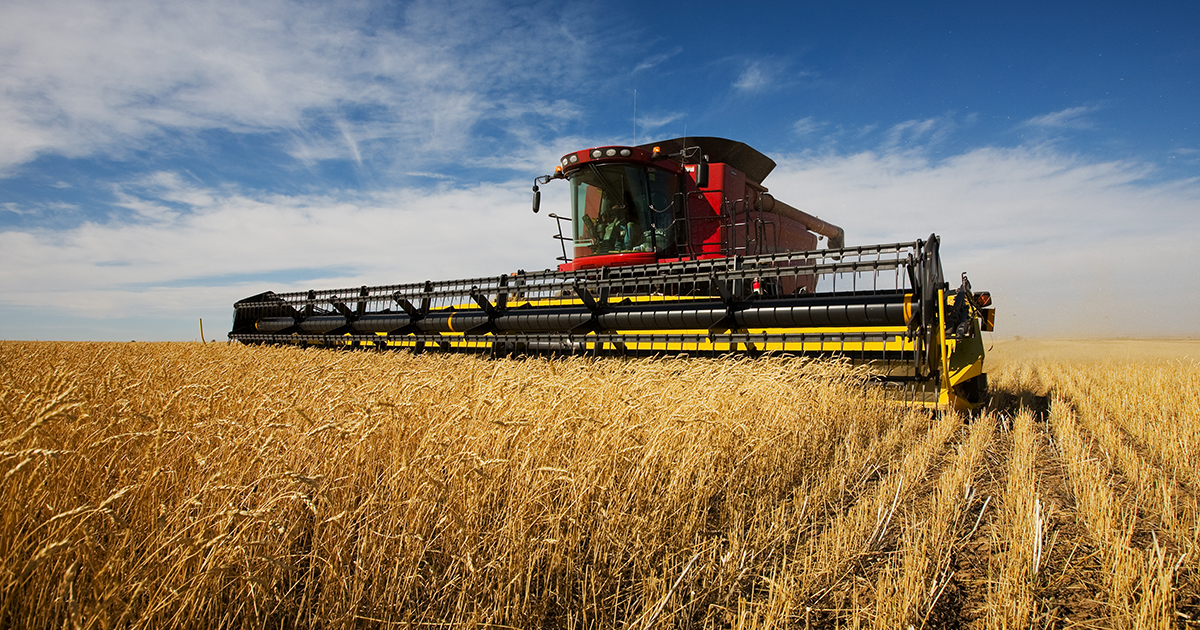 découvrez comment la transformation agricole révolutionne les méthodes de production, améliore la durabilité et renforce la sécurité alimentaire. explorez les innovations technologiques et les pratiques durables qui façonnent l'avenir de l'agriculture.
