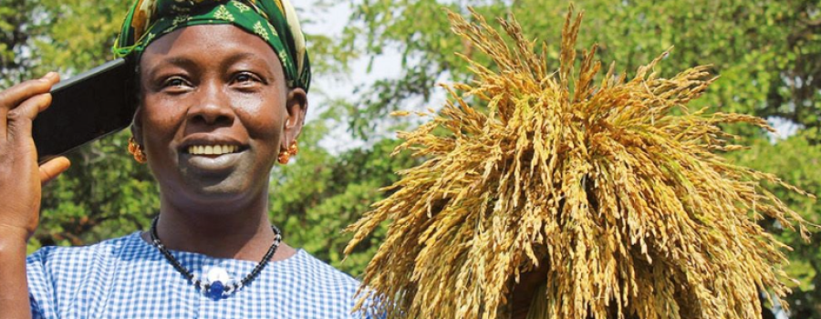 découvrez comment la transformation agricole révolutionne le secteur, en alliant innovation, durabilité et techniques modernes pour améliorer les rendements et préserver l'environnement.