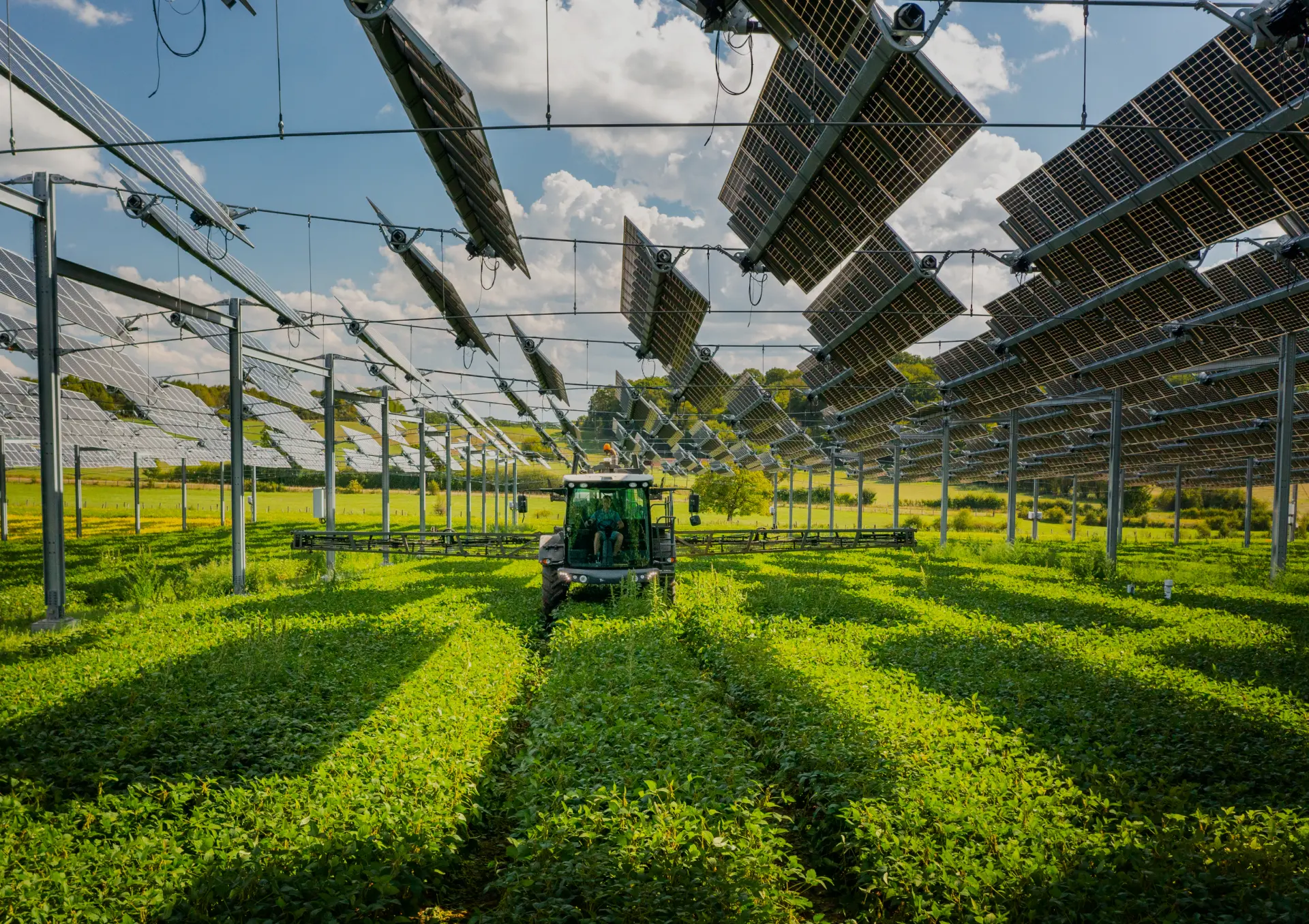 découvrez les avantages de l'agri-photovoltaique, une solution innovante qui allie agriculture et production d'énergie solaire. optimisez l'utilisation de vos terres tout en contribuant à la transition énergétique. explorez les opportunités et les impacts positifs sur l'environnement et l'économie.