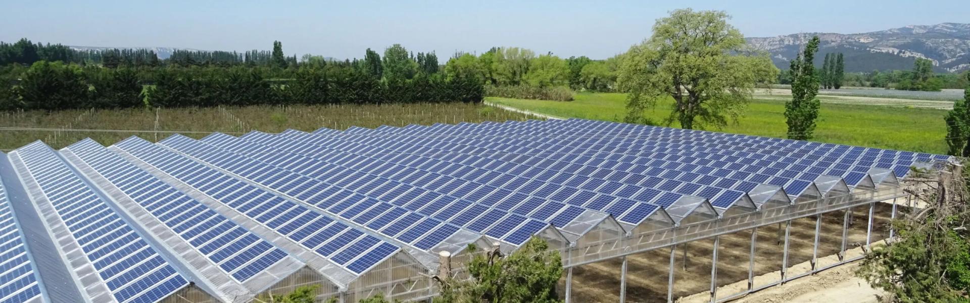 découvrez comment l'agro-solaire allie agriculture durable et production d'énergie solaire, optimisant ainsi l'utilisation des terres tout en préservant l'environnement. apprenez-en davantage sur les avantages et les innovations de cette solution alternative.