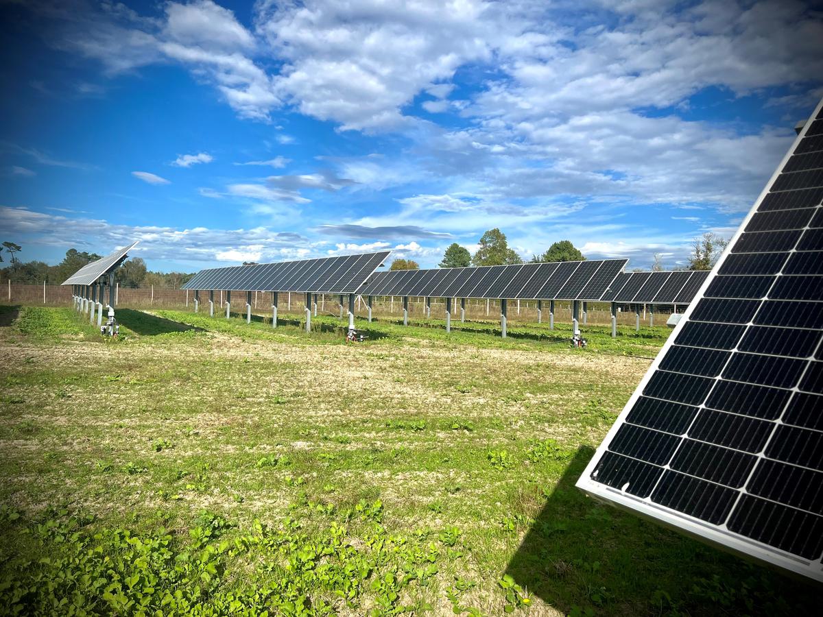 découvrez l'agro-solaire, une synergie innovante entre agriculture et énergie solaire, qui optimise les ressources tout en préservant l'environnement. apprenez comment cette méthode durable transforme les exploitations agricoles et contribue à une production alimentaire responsable.