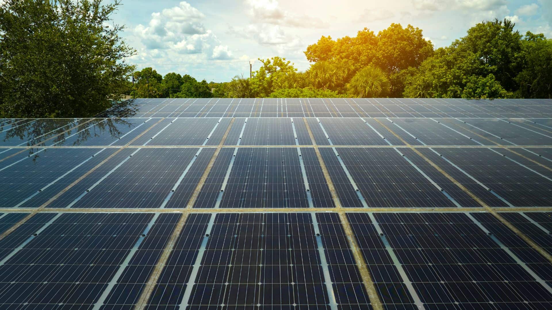 découvrez les effets de l'arrêté photovoltaïque sur l'industrie, ses implications économiques et environnementales, ainsi que les opportunités qu'il présente pour le développement des énergies renouvelables en france.