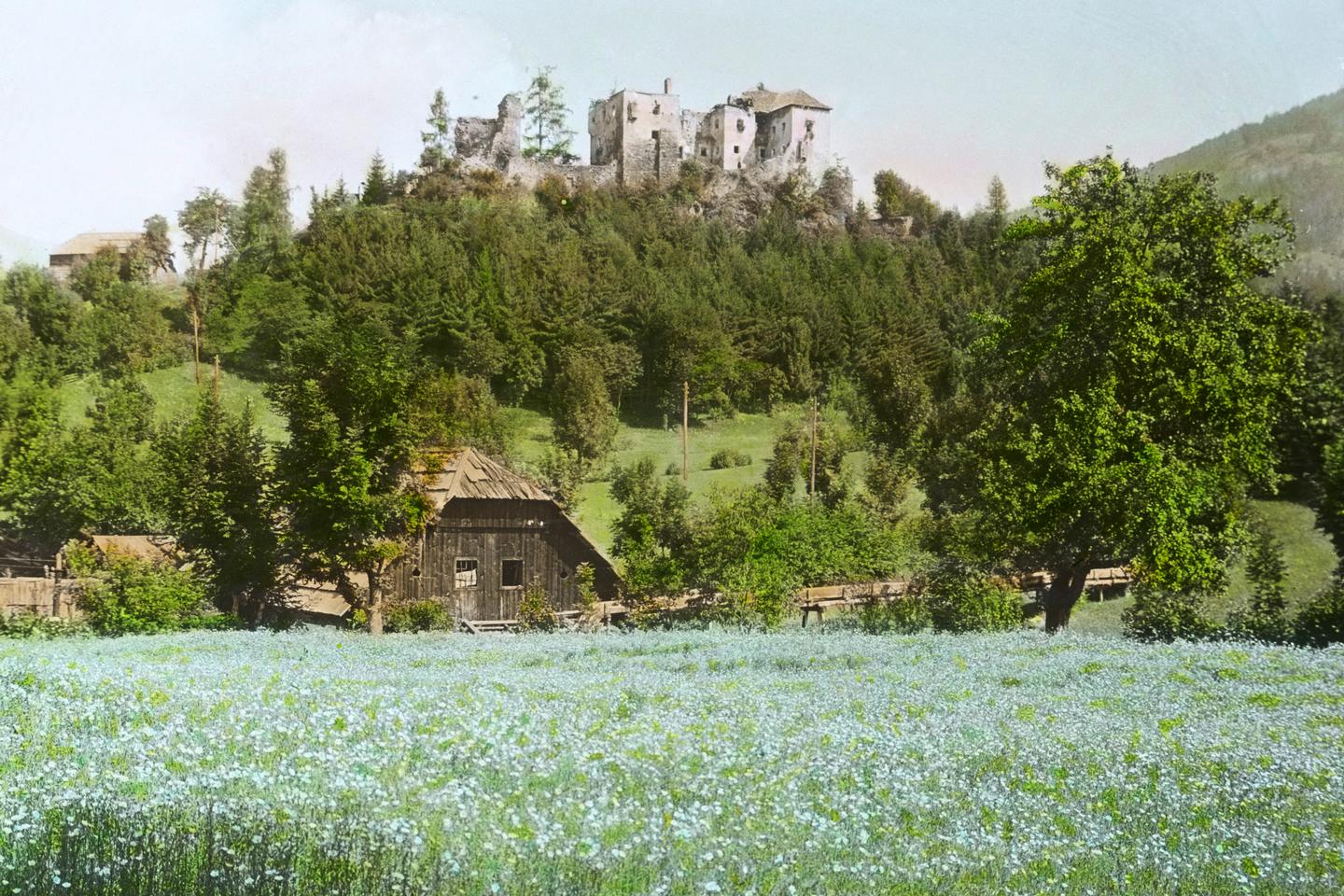 découvrez l'univers fascinant des champs, des paysages pittoresques aux cultures agricoles variées. explorez les types de champs, leur biodiversité, et l'impact de l'agriculture sur notre environnement.